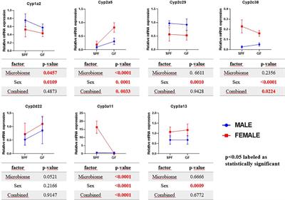 Gut Microbiome Alters the Activity of Liver Cytochromes P450 in Mice With Sex-Dependent Differences